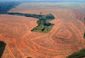 Aereal view of an area deforestated by soybean farmers in Novo Progreso, Para, Brazil, in this September, 2004 file photo. Deforestation in the Amazon rain forest in 2004 was the second worst on record, figures released by the Brazilian government showed. Satellite photos and data showed that ranchers, soybean farmers and loggers burned and cut down a near-record area of 26,130 square kilometers (10,088 square miles) of rain forest in the 12 months ending in August 2004, the Brazilian Environmental Ministry said Wednesday.The destruction was nearly 6 percent higher than in the same period the year before, when 24,600 square kilometers (9,500 square miles) were destroyed. (AP Photo/Alberto  Cesar-GREENPEACE/HO)
