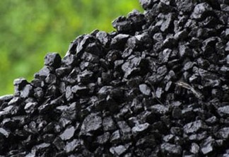O Chaco paraguaio vira carvão para churrasco