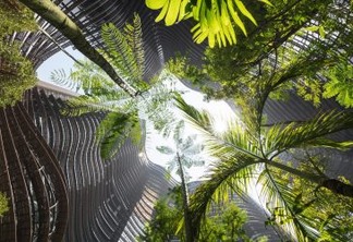 Edifício ecológicos em Cingapura recriam clima de floresta