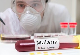 Unicamp desenvolve várias pesquisas sobre malária