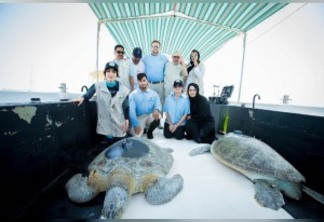 Tartarugas ameaçadas de extinção migram de Abu Dhabi para Omã