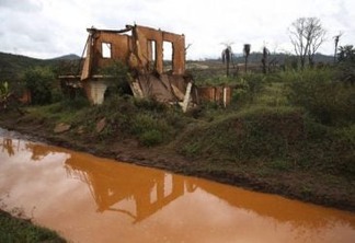 Comitê da bacia do Rio Doce estima recuperação em bilhões de reais