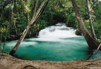 PES do Jalapão (TO) - Cachoeira do rio Formiga | Rosemeire Saccó
