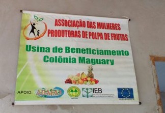 Mulheres de São Felix do Xingu criam associação para comercializar polpa de fruta