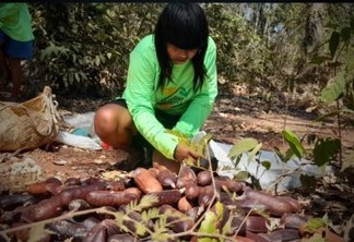 Projeto “Amazônia Indígena - Direitos e Recursos” anuncia apoio a grupos e associações de Mato Grosso, Rondônia e Pará