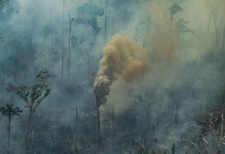 Quase 50% das queimadas estão em áreas recém-desmatadas, diz Inpe