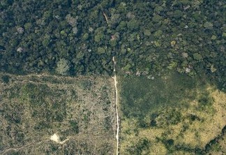 Desmatamento na Terra Indígena Karipuna (RO) © Rogério Assis / Greenpeace