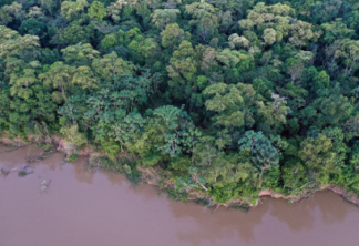 Lei brasileira é insuficiente para proteger os rios do país, dizem cientistas