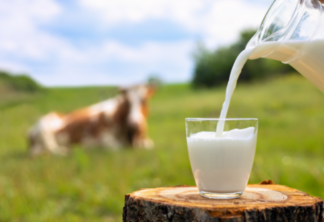 Empresas fecham parceria com foco em descarbonização de fazendas leiteiras no Brasil