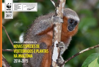 Relatório registra a descoberta de 20 espécies de mamíferos na Amazônia
