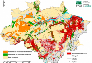 Área maior do que a região Sul está à mercê do desmatamento ilegal na Amazônia