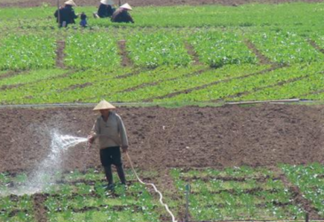O controverso uso de esgoto na irrigação