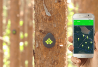 Startup de SP tem tecnologia premiada para monitorar florestas plantadas