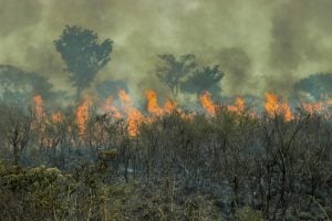 1-queimada-na-floresta-amazonica
