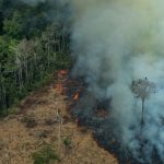 Forest Fires in Candeiras do Jamari, Amazon - Second Overflight (2019) Queimadas na Amazônia - Segundo Sobrevôo (2019)