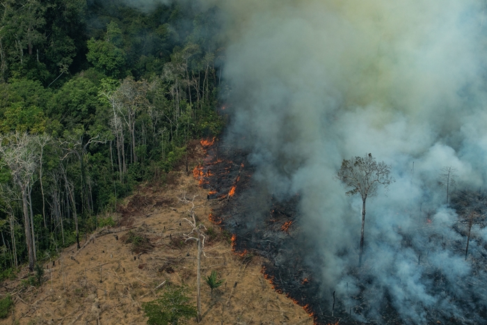 Forest Fires in Candeiras do Jamari, Amazon - Second Overflight (2019) Queimadas na Amazônia - Segundo Sobrevôo (2019)