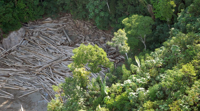 Desmatamento cresceu 28% no Cerrado e 7% na Amazônia em 2022, em comparação ao ano passado